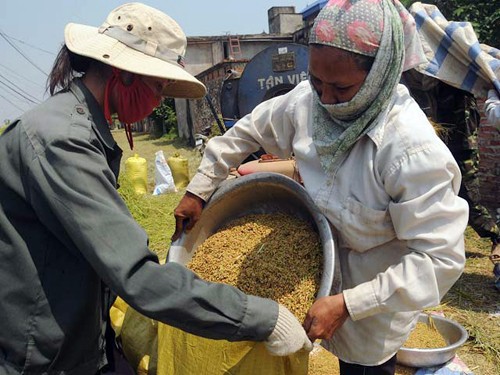 Vietnam conmemora Día Mundial de la Alimentación  - ảnh 1