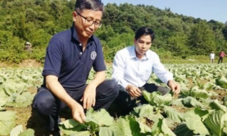 FAO aprecia logros de Vietnam en reducción de pobreza  - ảnh 1