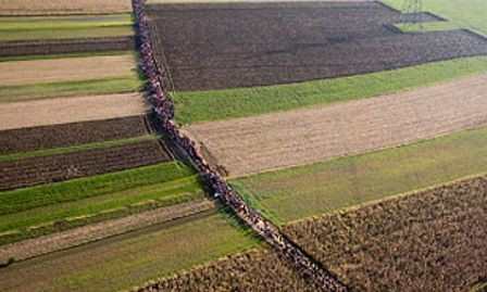 Unión Europea prepara 100 mil plazas para refugiados en ruta balcánica - ảnh 1