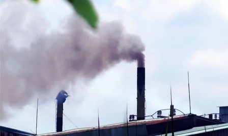 Vietnam está preparando la creación del mercado de carbono - ảnh 1