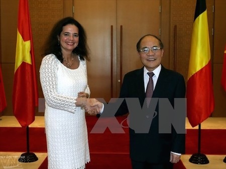 Presidenta del Senado de Bélgica concluye visita en Vietnam   - ảnh 1