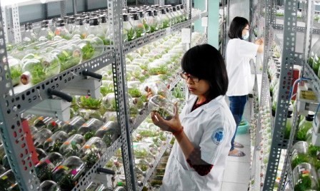 Ciudades vietnamitas y estadounidenses cooperan en formación de recursos humanos - ảnh 1