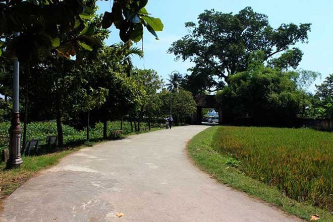 La aldea antigua de Duong Lam en otoño - ảnh 9