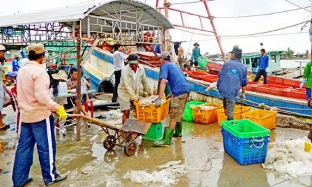 Economía marítima trae prosperidad a Ganh Hao - ảnh 1