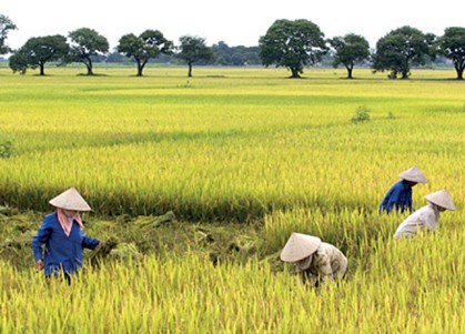 Camino a Ninh Binh, la tierra invisible - ảnh 2