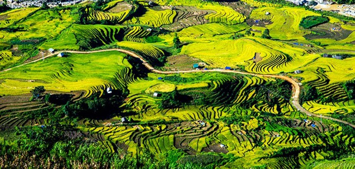 Impresionante naturaleza en trayecto Sapa – Y Ty  - ảnh 10