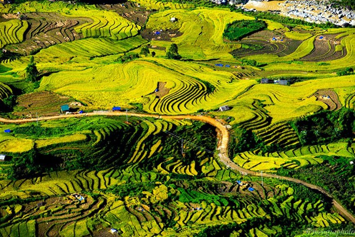 Impresionante naturaleza en trayecto Sapa – Y Ty  - ảnh 11