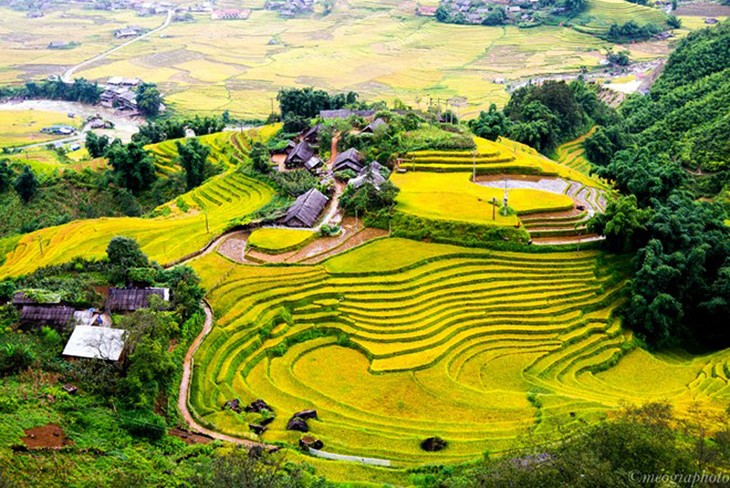 Impresionante naturaleza en trayecto Sapa – Y Ty  - ảnh 2