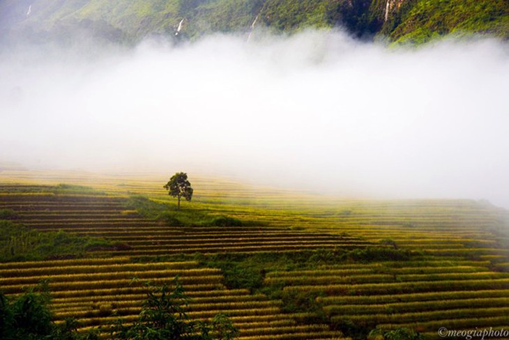 Impresionante naturaleza en trayecto Sapa – Y Ty  - ảnh 5