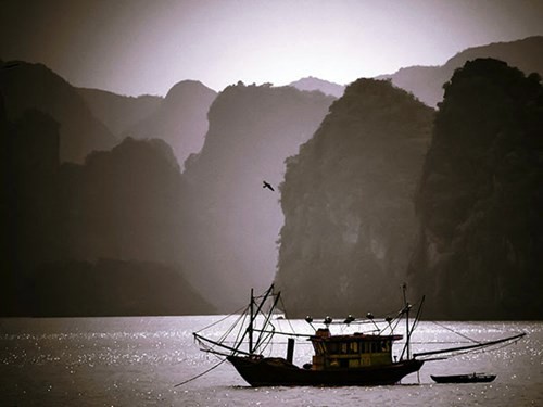 Alma de Vietnam en el lente del fotógrafo estadounidense Lawrence D’Attilio - ảnh 2