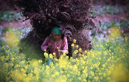 La sencilla belleza de la región montañosa de Vietnam - ảnh 10