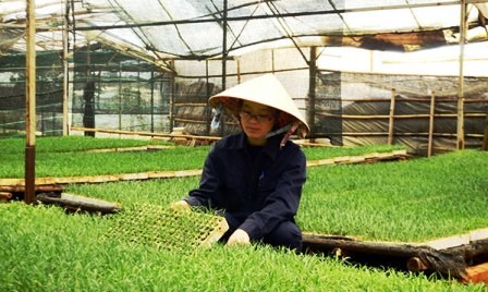 Tecnología agrícola punta del desarrollo sostenible en la Altiplanicie  - ảnh 1