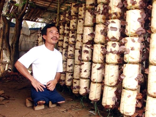 Combatientes vencedores de la tierra Quang Tri en la época postguerra - ảnh 1