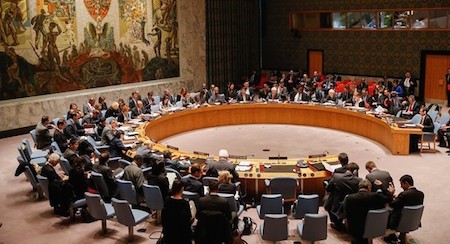 Japón se desempeña como miembro no permanente del Consejo de Seguridad de la ONU - ảnh 1