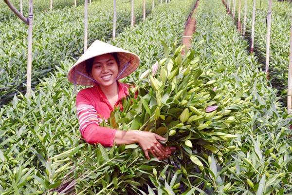 Da Lat, la ciudad del Festival de las Flores - ảnh 3