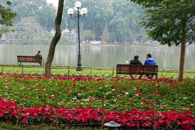 Hanoi recibe el Tet con flores y luces brillantes  - ảnh 2