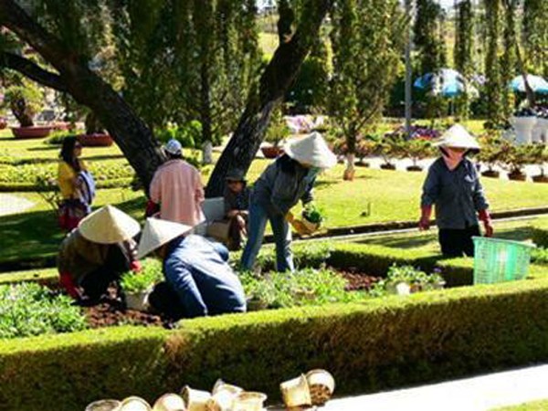 Parque de las flores de la ciudad de Da Lat, punto de encuentro de la belleza natural - ảnh 2