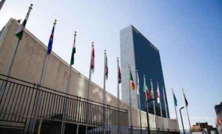 Crisis en Siria y tema de inmigrantes centran sesión anual del Consejo de Derechos Humanos de la ONU - ảnh 1