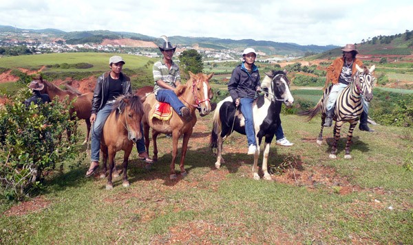 Recorrido por la legendaria meseta de Lang Biang - ảnh 4