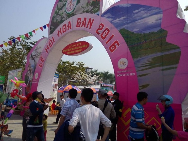 Fiesta de Flor de Bauhinia en Dien Bien promueve el turismo en tierra histórica  - ảnh 1