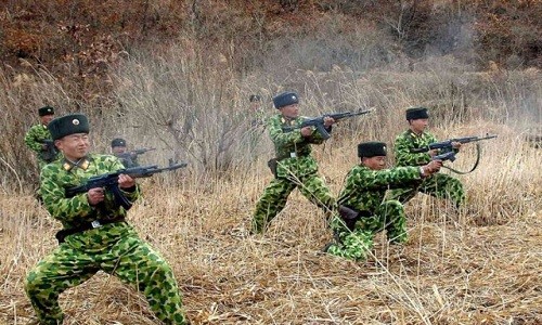 Corea Democrática condena ejercicios conjuntos Estados Unidos- Corea del Sur - ảnh 1