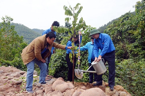 Jóvenes voluntarios de Quang Ninh por la prosperidad de la provincia - ảnh 2