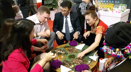 Exposición en Hanoi sobre la cultura y el turismo de la región noroccidental de Vietnam - ảnh 1