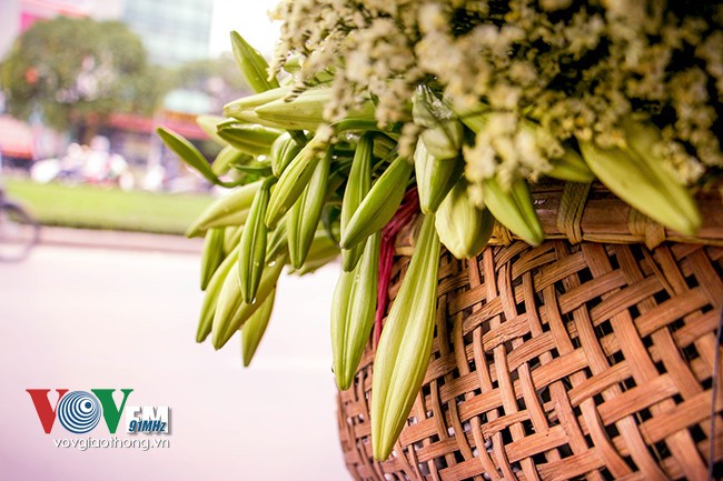 Azucena blanca, la reina de las flores de Hanoi en abril - ảnh 4