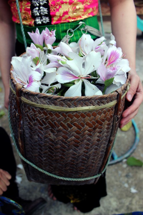 Manjares preparados con flores de Bauhinia en tierra septentrional de Vietnam - ảnh 4