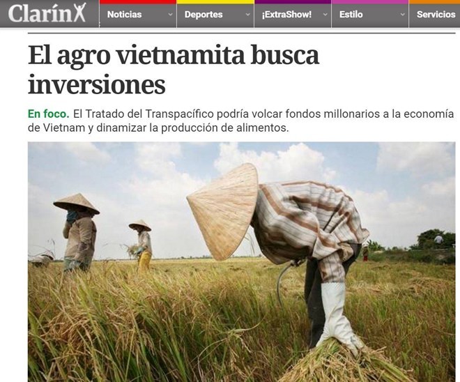 Agricultura vietnamita se beneficiará del Acuerdo de Asociación Transpacífico - ảnh 1