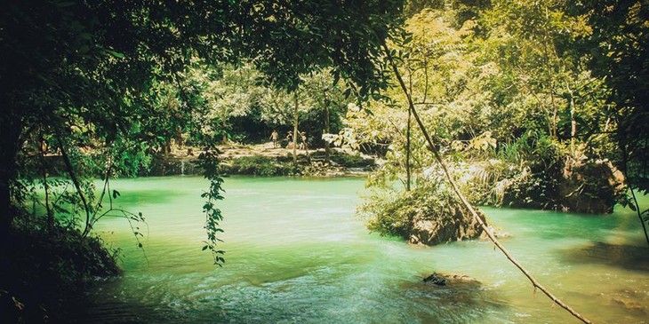 Un viaje por Cao Bang, tierra de paisajes majestuosos del norte de Vietnam - ảnh 7