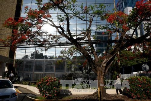 Mossack Fonseca inicia acciones legales por publicación de “Panama Papers” - ảnh 1