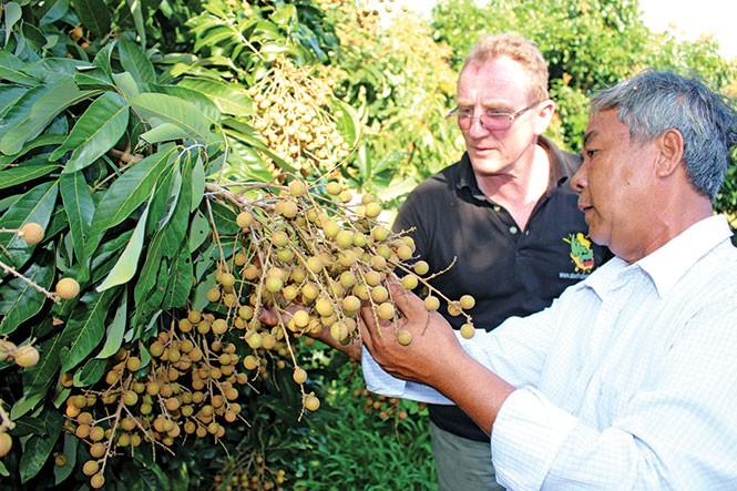 Agricultores de Dong Thap por exportar más - ảnh 1