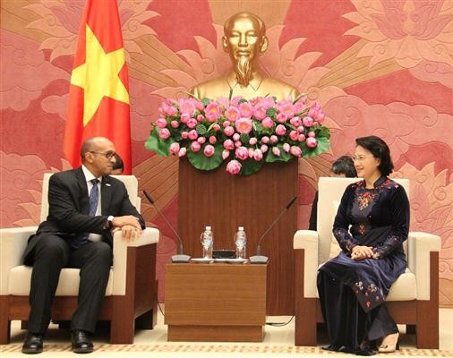 Recibe presidenta del Parlamento vietnamita a embajadores extranjeros - ảnh 1