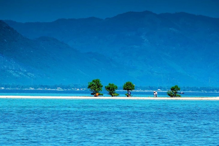 Isla de Diep Son, regalo de la madre naturaleza para Vietnam - ảnh 1