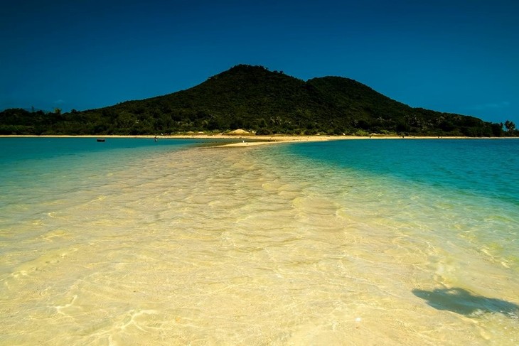 Isla de Diep Son, regalo de la madre naturaleza para Vietnam - ảnh 4