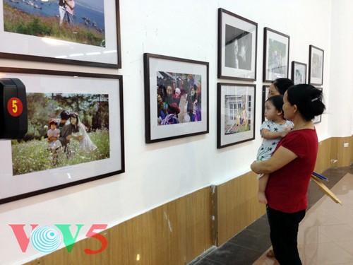 Hanoi conmemora XV aniversario del Día de la Familia de Vietnam - ảnh 1