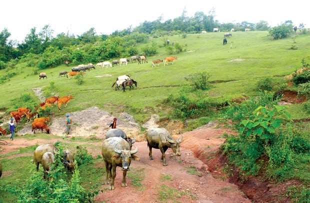 Aldea Nung en septentrional provincia vietnamita - ảnh 2