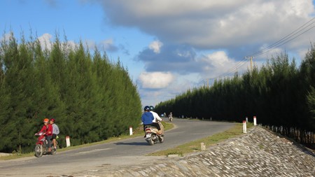 Un nuevo destino a descubrir en provincia norteña de Vietnam - ảnh 2