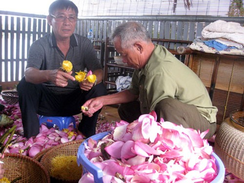 Vu Hoa Thao, conservador de marca de té de loto del Lago del Oeste - ảnh 1