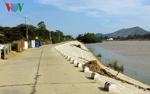 Agricultura vietnamita combate con impactos del cambio climático - ảnh 2