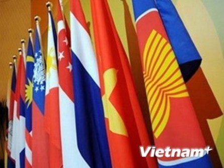 Por maximizar la eficiencia de fondos de cooperación de la Asean - ảnh 1