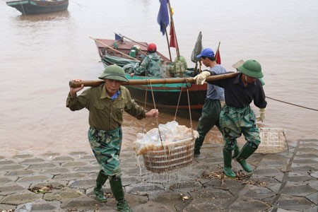 Mercado de pescado de Giao Hai - ảnh 2