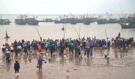 Mercado de pescado de Giao Hai - ảnh 1