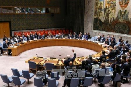 ONU prolonga por un año la investigación de ataques con armas químicas en Siria - ảnh 1