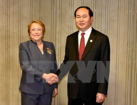 Presidente vietnamita reunido con dirigentes de países de APEC - ảnh 2