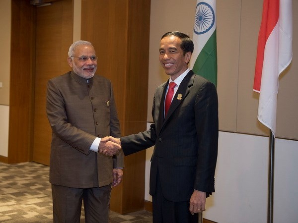 India e Indonesia piden solución pacífica para controversias en el Mar del Este - ảnh 1