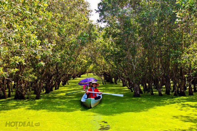 Jardín de los pájaros de Gao Giong, otro lugar para disfrutar de Dong Thap Muoi - ảnh 4