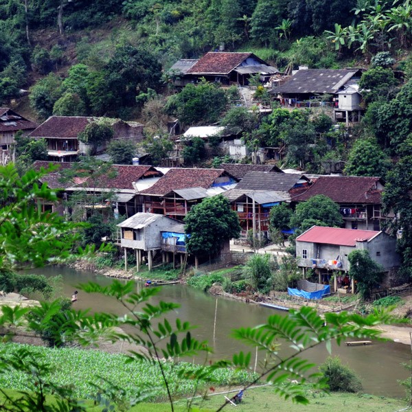 Ambiente pacífico en lago Ba Be - ảnh 1