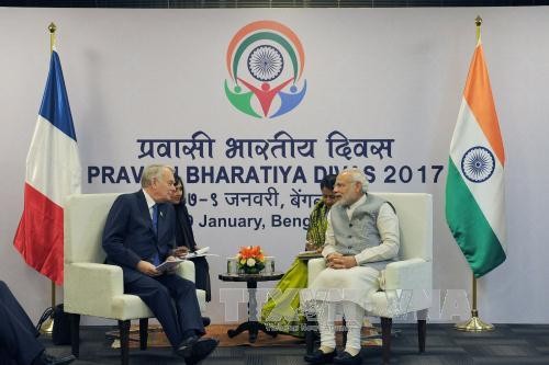 India y Francia afianzan asociación estratégica bilateral - ảnh 1